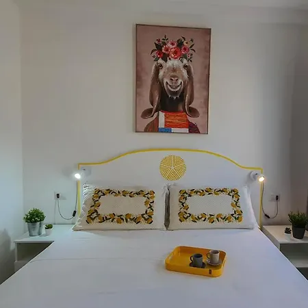 Biddanoa فندق مبيت وإفطار